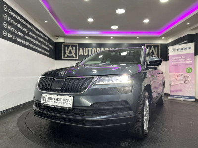 Skoda Karoq Gebrauchtwagen