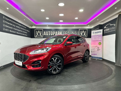 Ford Kuga Gebrauchtwagen Ford Kuga Gebrauchtwagen