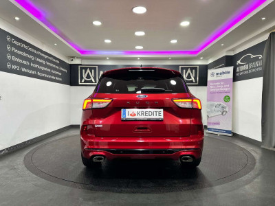 Ford Kuga Gebrauchtwagen Ford Kuga Gebrauchtwagen