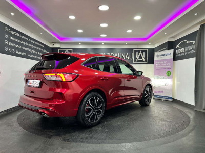 Ford Kuga Gebrauchtwagen Ford Kuga Gebrauchtwagen