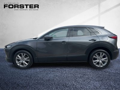 Mazda CX-30 Gebrauchtwagen