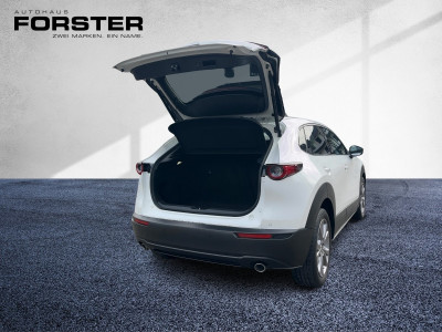 Mazda CX-30 Gebrauchtwagen