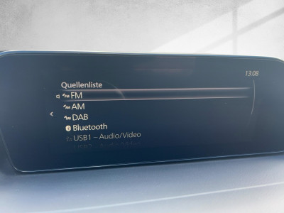 Mazda CX-30 Gebrauchtwagen Mazda CX-30 Gebrauchtwagen