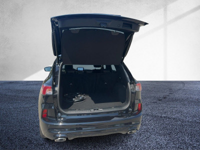 Ford Kuga Gebrauchtwagen Ford Kuga Gebrauchtwagen