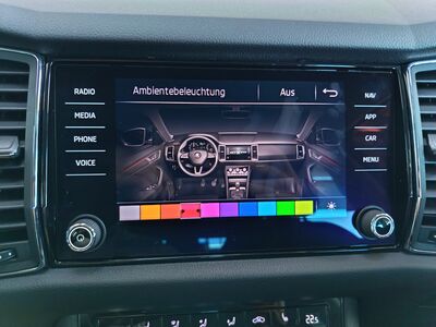 Skoda Kodiaq Gebrauchtwagen