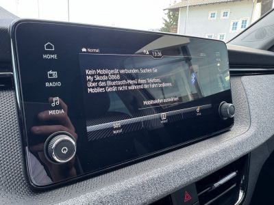 Skoda Kamiq Gebrauchtwagen