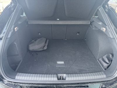 Cupra Terramar Gebrauchtwagen