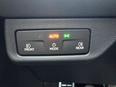 Cupra Terramar Gebrauchtwagen