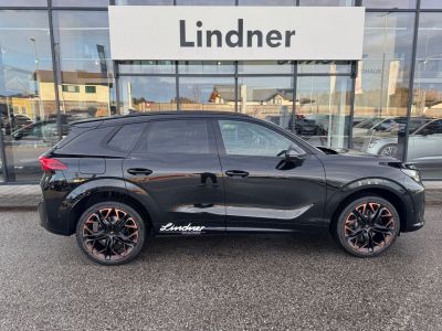 Cupra Terramar Gebrauchtwagen