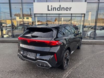 Cupra Terramar Gebrauchtwagen