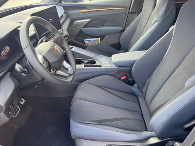 Cupra Terramar Gebrauchtwagen