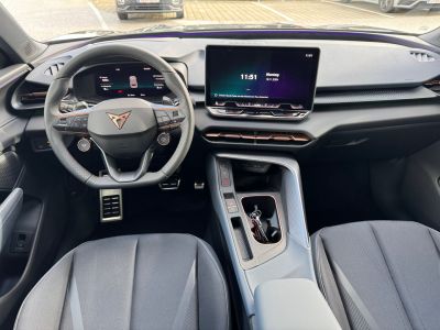 Cupra Terramar Gebrauchtwagen