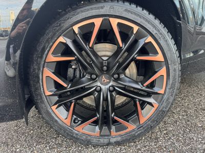 Cupra Terramar Gebrauchtwagen