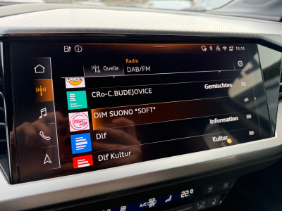 Audi Q4 e-tron Gebrauchtwagen