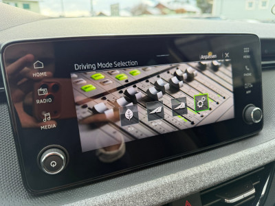 Skoda Kamiq Gebrauchtwagen