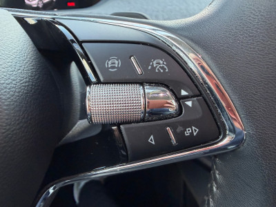 Skoda Enyaq Gebrauchtwagen