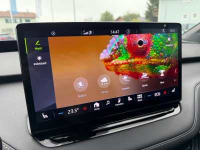 Skoda Enyaq Gebrauchtwagen