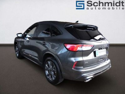Ford Kuga Gebrauchtwagen