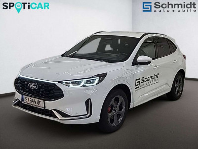 Ford Kuga Vorführwagen