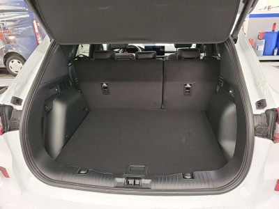 Ford Kuga Vorführwagen