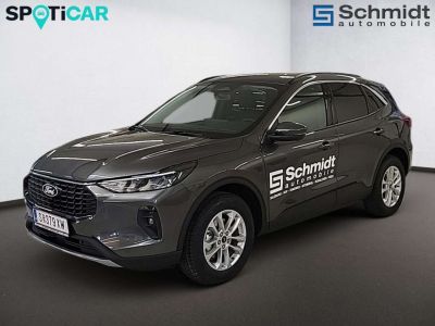 Ford Kuga Vorführwagen