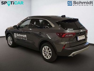 Ford Kuga Vorführwagen