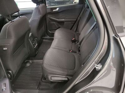 Ford Kuga Vorführwagen