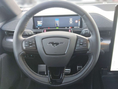 Ford Mustang Mach-E Gebrauchtwagen Ford Mustang Mach-E Gebrauchtwagen