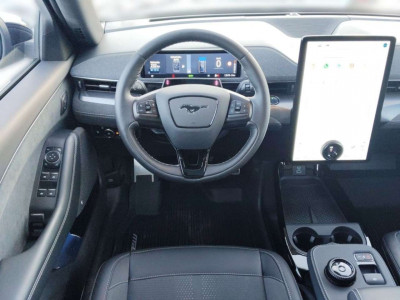 Ford Mustang Mach-E Gebrauchtwagen Ford Mustang Mach-E Gebrauchtwagen