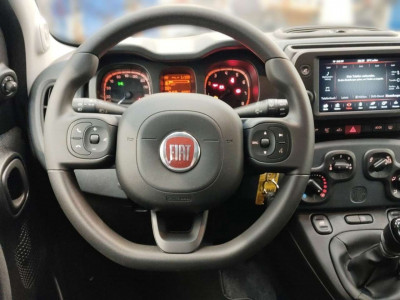 Fiat Panda Gebrauchtwagen