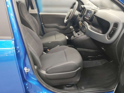 Fiat Panda Gebrauchtwagen
