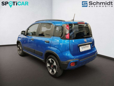 Fiat Panda Gebrauchtwagen