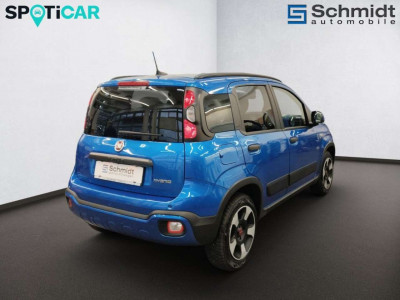 Fiat Panda Gebrauchtwagen