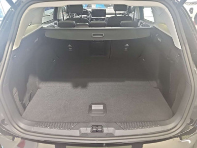 Ford Focus Tageszulassung Ford Focus Tageszulassung