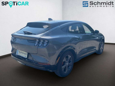 Ford Mustang Mach-E Gebrauchtwagen Ford Mustang Mach-E Gebrauchtwagen