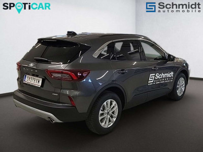 Ford Kuga Vorführwagen