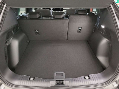 Ford Kuga Vorführwagen