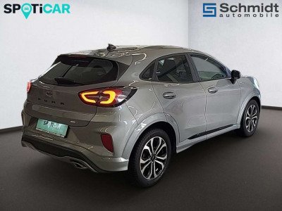 Ford Puma Gebrauchtwagen Ford Puma Gebrauchtwagen