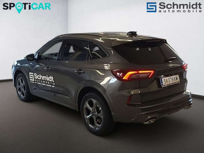 Ford Kuga Vorführwagen