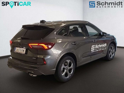 Ford Kuga Vorführwagen