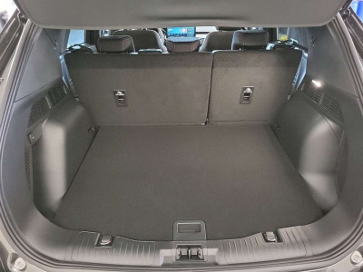Ford Kuga Vorführwagen