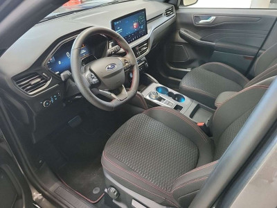 Ford Kuga Vorführwagen