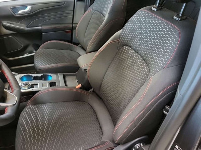 Ford Kuga Vorführwagen