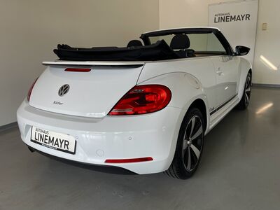 VW Beetle Gebrauchtwagen