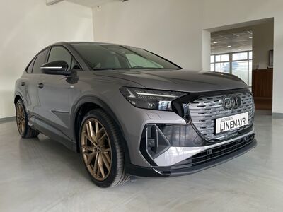 Audi Q4 e-tron Gebrauchtwagen