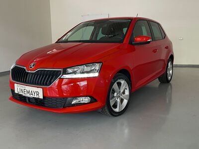 Skoda Fabia Gebrauchtwagen Skoda Fabia Gebrauchtwagen