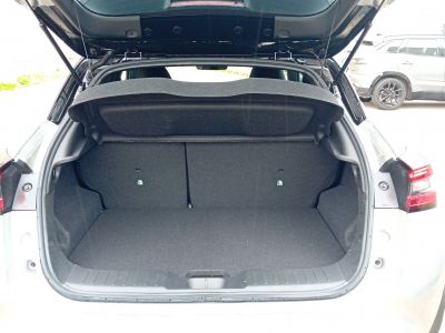 Nissan Juke Tageszulassung