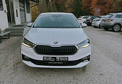 Skoda Fabia Gebrauchtwagen