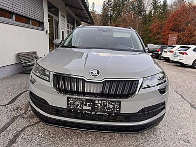 Skoda Karoq Gebrauchtwagen
