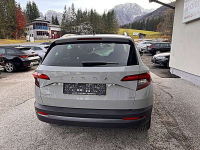Skoda Karoq Gebrauchtwagen